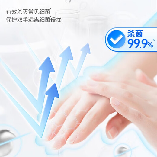 Velox Healthy Antibacterial Silk Protein Hand Sanitizer Home Furnishing Household Foam Rich Refill Bag Gold Antibacterial Hand Sanitizer 250ml*1 Bottle