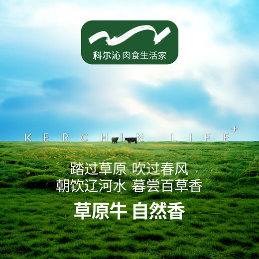 科尔沁 内蒙古特产国产沙葱肥牛卷1斤 牛肉卷涮火锅食材清真牛肉生鲜