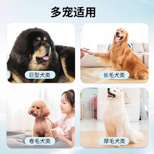 Sisika Dog Hair Comb Border Collie Comb Special Golden Retriever Pet Artifact Nail Rake Comb Large Dog Samoyed Dog Hair Removal Brush Blue Massage Comb - Special for Medium and Large Dogs