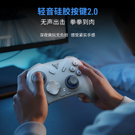 Feizhi Direwolf 3/Direwolf 4 multi-template wireless controller DW12C type xbox controller Switch/Steam Black Myth Wukong game controller Mingmo Yuanxu Feather controller Direwolf 4+ charging base set