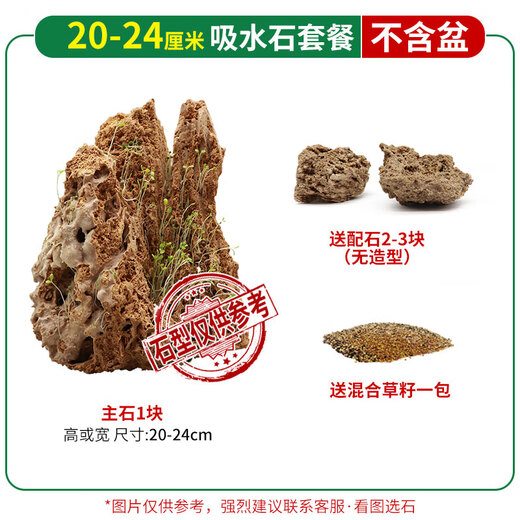 Absorbent stone rockery bonsai upper water stone original stone rockery stone bonsai natural original stone landscaping small ornaments ornamental stone 20-24cm absorbent stone does not contain pots and comes with grass seeds and stones