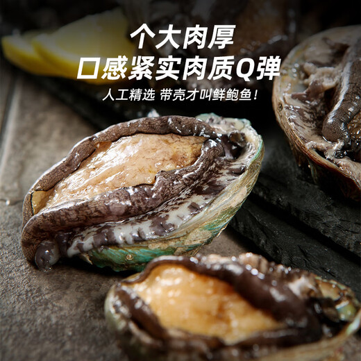 Haidingji shelled frozen abalone net weight 200g (8-14 pieces) fresh frozen original flavor New Year's Eve