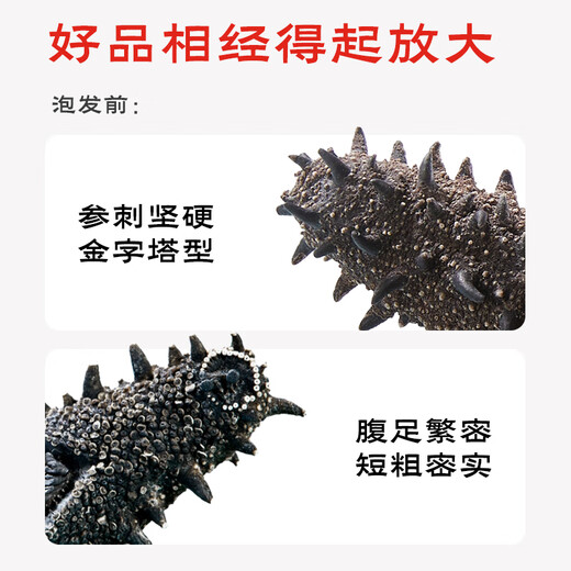 Fishing Travel Notes National Standard 11 times foaming Dalian light dried sea cucumber net weight 50g 8-15 pieces family size straight from the source