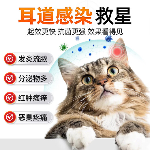 Special ear mite medicine for cats, ear cleaning solution for cats, ear mite fungus for cats, ear drops for dogs, pet otitis ear cleaning, 2 bottles of medicine brand ear medicine