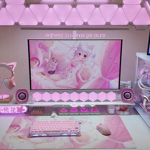 MSI 32 Zoll 4K 240 Hz Quantum Dot OLED 0,03 ms Typ-C 90 W weißer Gaming-E-Sports-Monitor MPG 321URXW QD-OLED Aurora