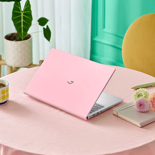 Dell (DELL) Laptop Inspiron 15pro 3530 15,6 Zoll rosa 13. Generation Core dünnes und leichtes Notebook Business-Büro-Notebook Student Zuhause Allround-Ultrabook-Laptop Inspiron 15pro dünnes und leichtes Notebook 15,6 Zoll meistverkauftes Modell mit sechs Kernen Core 16G 1 TB Silent Silver
