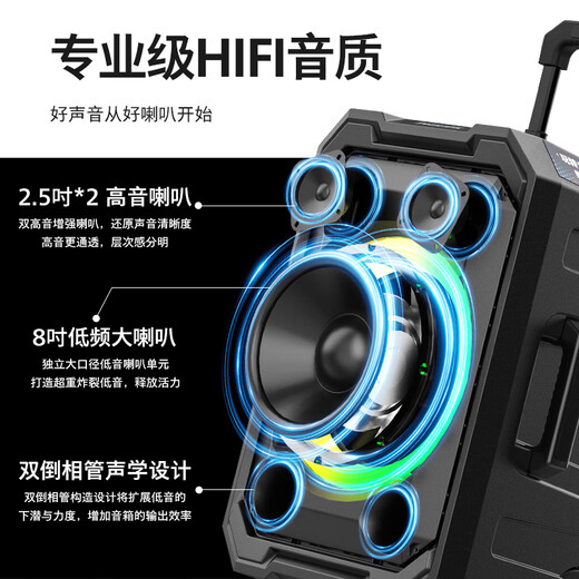 Philips (PHILIPS) SD617 8-inch square dance audio outdoor stage high-power mobile portable trolley speaker wireless Bluetooth high-volume karaoke amplification with dual microphones