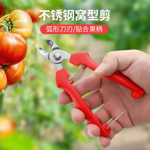 He Jiagong stainless steel nest-type fruit picking scissors, special scissors for tomatoes and apples, orange picking scissors, fruit handle concave pruning scissors, stainless steel nest scissors, 5-pack, upgrade belt