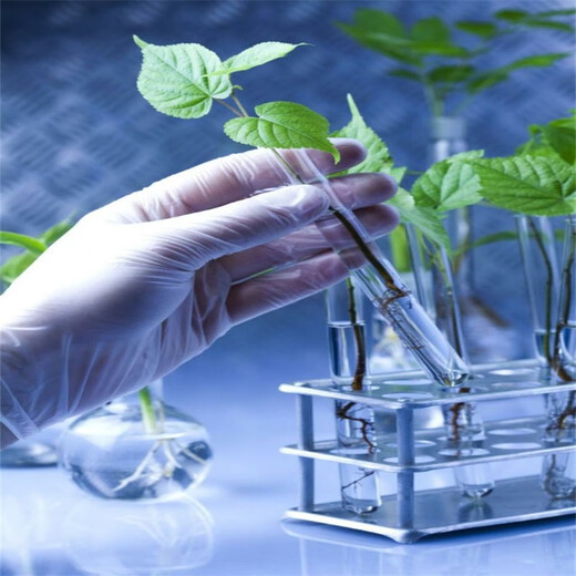 Potassium nitrate high purity high purity powder potash fertilizer agricultural potassium nitrate grape special expanded fruit flue-cured tobacco fertilizer 1Jin Jin is equal to 0.5kg, purity 99