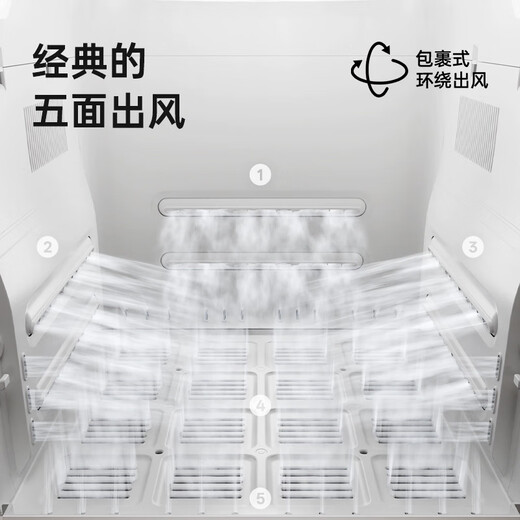 Jirpet Caja de secado para mascotas F1S Secador inteligente para gatos Soplador Silencioso Barrido para perros domésticos Cabina de secado rápido Modelo de barrido F1S 30Jin Jin equivale a 0,5 kg Adecuado para mascotas de menos de 0,5 kg