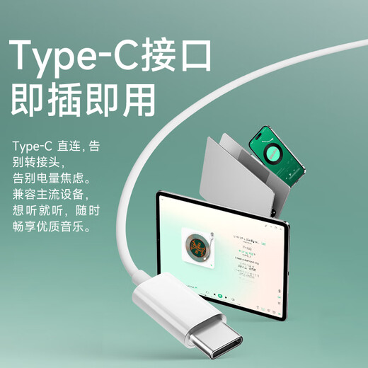 Edifier (EDIFIER) H230P Type-C in-ear wired headphones Hi-Res gold label certified online class office karaoke microphone suitable for Huawei Xiaomi oppo mobile phone ice white