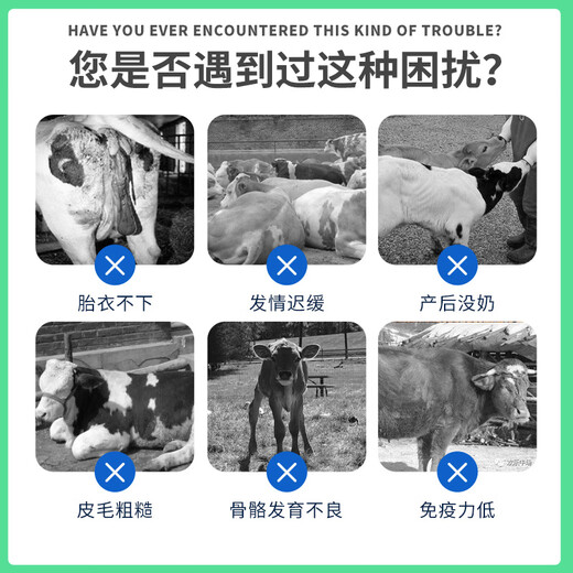 Cow feed for breeding heifers, timely breeding cattle, quick supplement of trace elements, cow premix, super value stocking 11 bags, 10 get 1 free event special photo