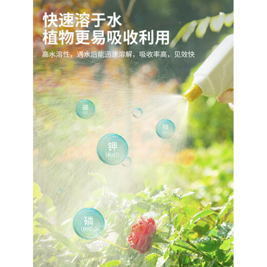 Kaooseen Stanley Potassium Dihydrogen Phosphate Fertilizer Flower Special Agricultural Phosphate Fertilizer Flower Fertilizer Phosphorus Potassium Fertilizer Foliar Fertilizer Potassium Dihydrogen Phosphate 100g