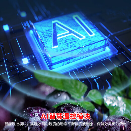 Rongsheng double-purified 508L cross-door refrigerator with active sterilization, ultra-thin embedded glass door, first-class energy efficiency, air-cooled, frost-free, same model in shopping malls, BCD-508WKK1FPCQA, national subsidy