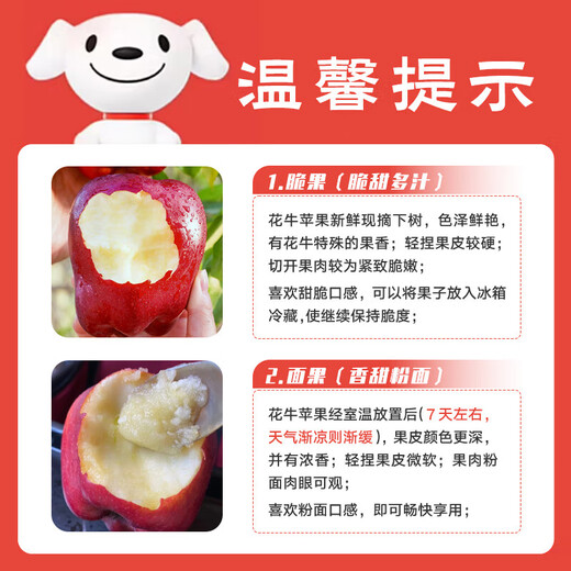 Jingxiansheng Tianshui Huaniu Apple, net weight 4.5Jin Jin is equal to 0.5kg, single fruit 210g+, fresh fruits delivered directly from the source