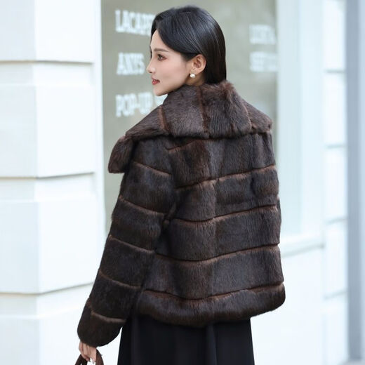 Gu Bing Rex Rabbit Fur Short Jacket for Women Navy Collar Design Temperament Socialite Winter New Product Simple and Trendy Brown M Recommended Weight 90/110 Jin Jin is equal to 0.5 kg
