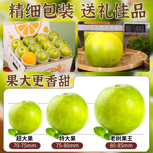 Yan Manqing Rock Sugar Orange Yunnan Authentic Ailao Mountain Rock Sugar Orange Fresh Fruit Hand-Peeled Jelly Sweet Orange Seasonal 5 Jin Jin equals 0.5 kg Preferred Fruit Single fruit 65-75mm Net 4.5 Jin Jin equals 0.5 kg