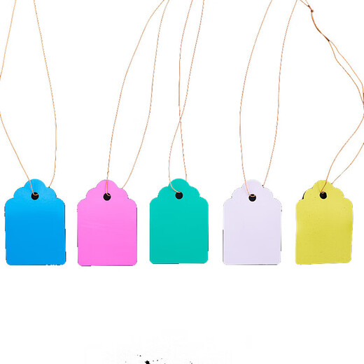 塑料实验小挂牌绿植花卉标签防水吊牌园艺苗木吊牌兰花植物 2.5*3.6白100张