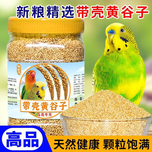 Bird food eaten by budgerigars: Black Phoenix Munnia shelled millet red millet bird feed yellow millet mixed shelled yellow grain rich in protein fiber healthy meat growth 550g yellow millet parrot food