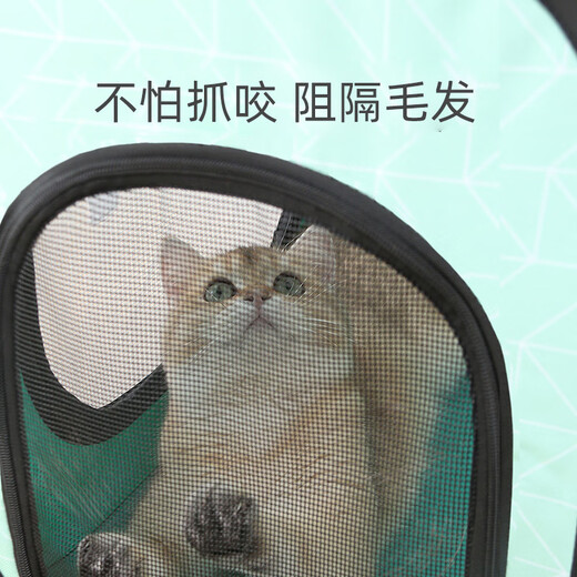 靠森（Kaooseen）宠物洗澡烘干箱狗狗猫咪吹毛神器泰迪比熊专用吹风机自动烘干袋  红色烘干 干机【中规请备注】