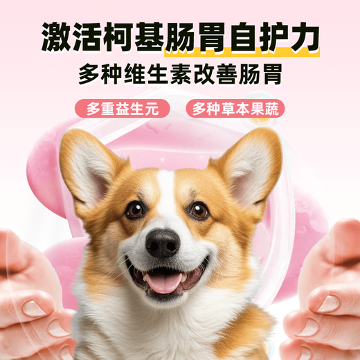 Xueban BAN Corgi Dog Food Special Food Duck Meat and Pear Grain-Free Puppies and Adult Dogs 2kg Care for the Gastrointestinal and Gastrointestinal Glass Stomach Buttocks Package Family Stocking Pack Corgi Duck Meat and Pear Grain-free Grain 12Jin Jin is equal to 0.5kg Pack 0lb See sku for details