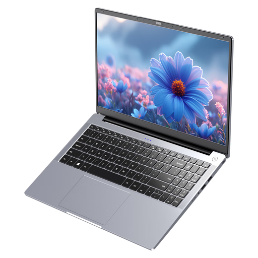 戴睿（dere）云翼系列 国家补贴笔记本电脑 15.6英寸高性能商务办公旗舰轻薄本 大学生游戏娱乐手提本 32G 2TB