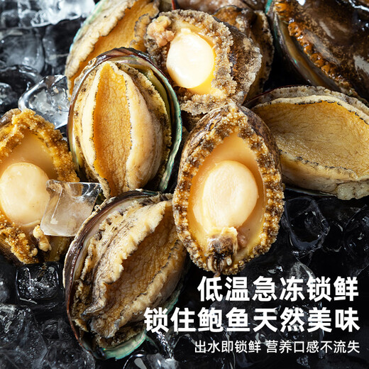 Haidingji shelled frozen abalone net weight 200g (8-14 pieces) fresh frozen original flavor New Year's Eve