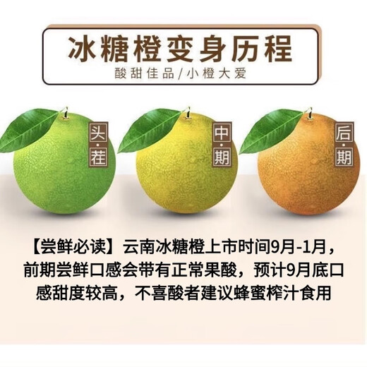 果跃霖云南冰糖橙正宗哀牢山手剥甜果冻橙子无渣新鲜水果送礼 2斤尝鲜果 单果65-75mm 净重1.7斤