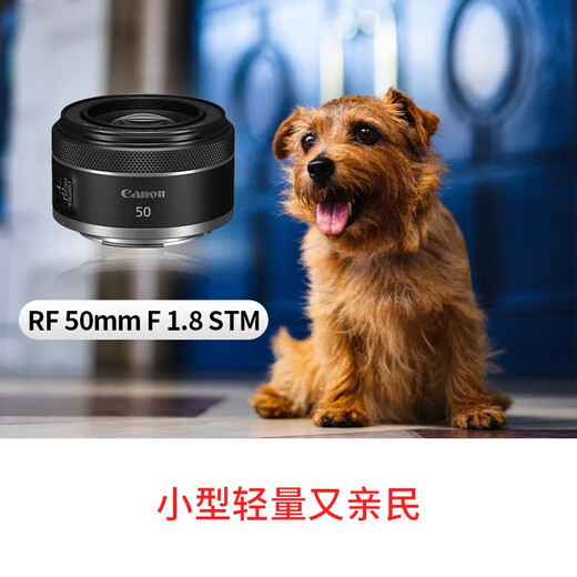 Canon RF50mm F1.8 STM full frame standard fixed focus mirrorless lens Canon RF mount