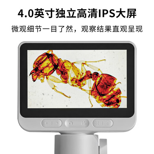 Dangdangli microscope handheld portable electronic high-definition microscope for junior high school students, professional scientific biological experiment, birthday gift for boys and girls