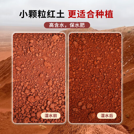 Yunnan Plateau acidic small particle red soil camellia jasmine fragrance wood various potted flowers nutrition special soil alpine red soil 9.5Jin Jin equals 0.5kg finely screened without impurities