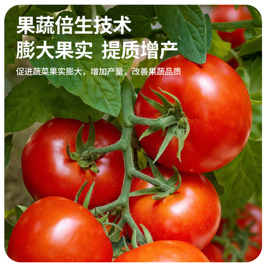 Stanley JD.com specializes in nutrient solution flower fertilizer for household potted plants universal hydroponic flowers and green plants 1L