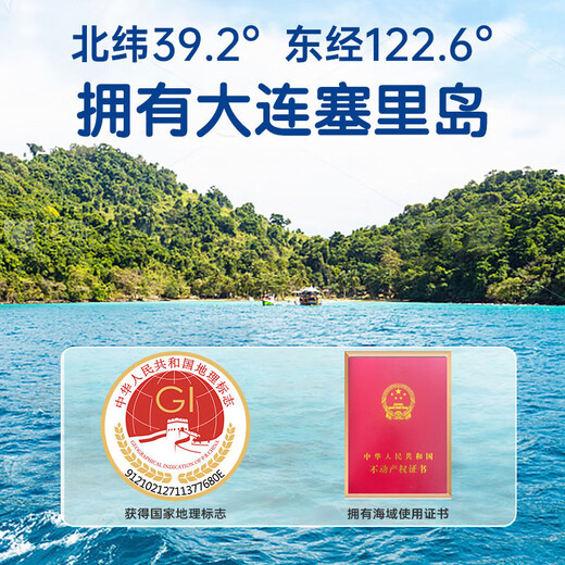 Haiyantang Dalian frozen ready-to-eat sea cucumber solids 70%3Jin Jin equal to 0.5kg, packed with 30-36 Liao sea cucumbers, seafood and aquatic products gift box