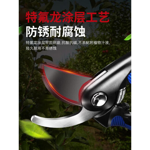 Dongcheng pruning scissors, garden flower pruning branch scissors, fruit tree scissors, thick flower scissors, gardening scissors tools, SK5 Teflon blade 8-inch pruning shears + hand saw