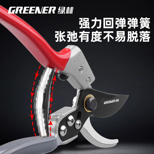 GREENER Japanese-style gardening scissors, fruit tree gardening pruning shears, branches household scissors, flower scissors, floral branch scissors