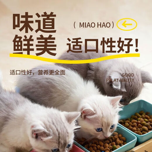 Inabao Karachi low-fat cat food seafood flavor full-price functional freeze-dried chicken British shorthair adult cat food snacks chicken flavor non-freeze-dried cat food trial pack 40g*20 bags