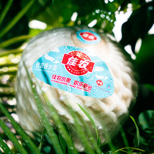 Good Farmer Green Coconut Imported from Thailand 4 pieces large single fruit 900g + free coconut opener fresh fruit gift box