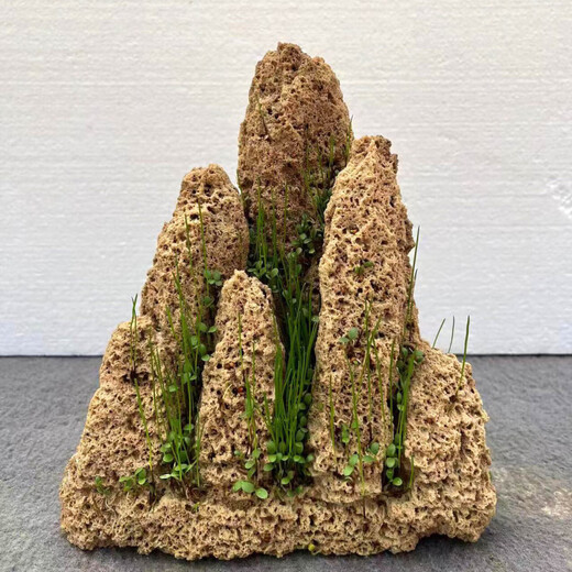 High-quality water stone bonsai rockery absorbent stone decoration natural water rust stone 10-14cm comes with grass seeds 10-14cm comes with grass seeds and stones
