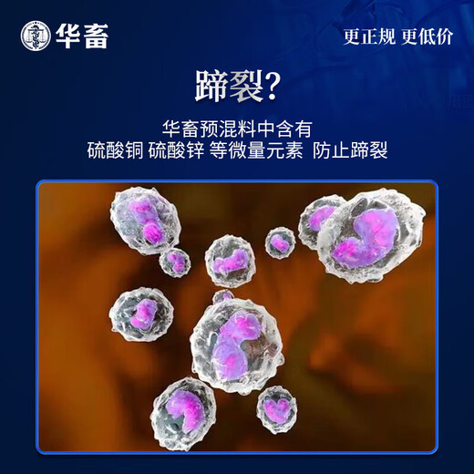 Huazhu 4 beef cattle feed, meat and sheep premix, fattening sheep feed, cattle fattening feed, cattle and sheep feed additives, 1 bag of skeleton 40Jin, Jin is equal to 0.5kg