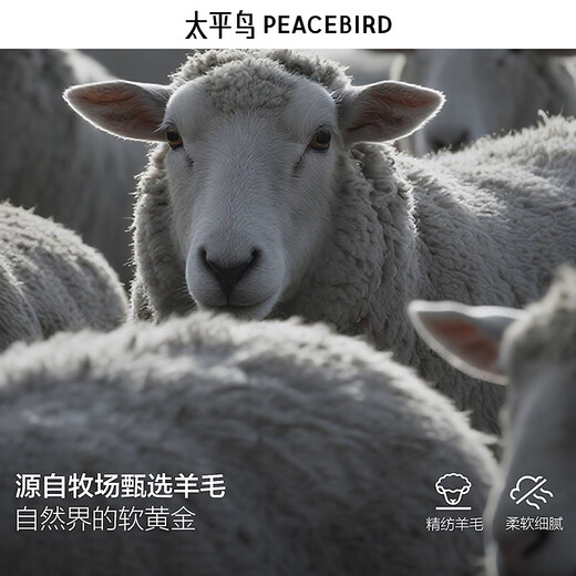 PEACEBIRD Men's Shopping Mall Same Style Warm Wool Woolen Coat Winter Mid-Length Coat B1AAF4206 Black 1 M