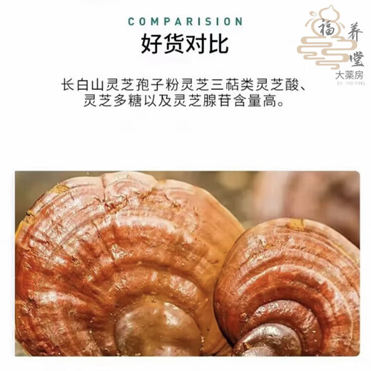 Zhizhitang Changbai Mountain Selenium-Rich Organic Red Ganoderma Spore Powder Made in Jilin Official Authentic Product to Enhance Immunity for Middle-aged and Elderly People Two Bottles Periodic Conditioning-Quarterly Pack