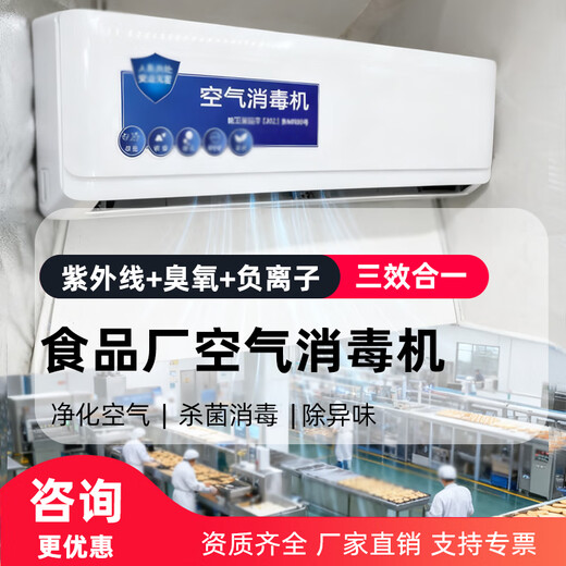 Aijenu wall-mounted ozone generator ultraviolet negative ion air purification public toilet deodorization sterilization and disinfection machine intelligent remote control ultraviolet + negative ion + single tube