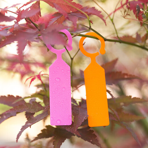 Ring label thickened plastic waterproof plant mark classification color card hanging mark grape seedlings purple 100 pieces