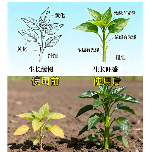 Quick-acting nitrogen fertilizer, medium granular 46% agricultural urea, general-purpose for flowers, green plants, vegetables, fruits, vegetables and fruit trees, medium granular urea 46% 10Jin Jin equal to 0.5kg sub-package