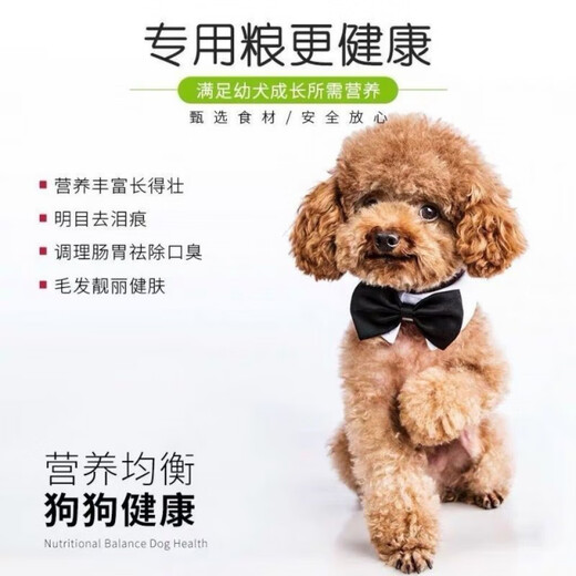 Special dog food for puppies, milk cake food, small grains, small milk dogs, small dogs, Teddy puppy food, golden retriever puppy food, wholesale beef flavor puppy food 2.5kg