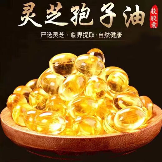 灵芝孢子油正宗长白山灵芝孢子油提取灵芝三萜灵芝孢子粉正 灵芝孢子油(300粒)