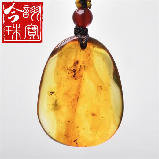 Jinxu Natural Amber Insect Amber Pendant Baltic Sea Beeswax Insect Pendant Insect Pendant 3.31g
