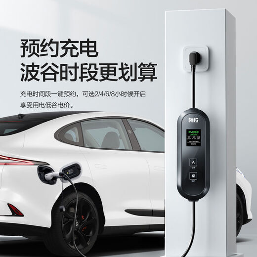 Rita Zhiji LS6 Auto Ladung Waffe Speziales tragbares Auto Ladegerät Zubehör Neue Energie Haushaltswarenhaufen 15816a Einstellbares Selbststopp Vierfache Schutz offizieller Standardkonfiguration