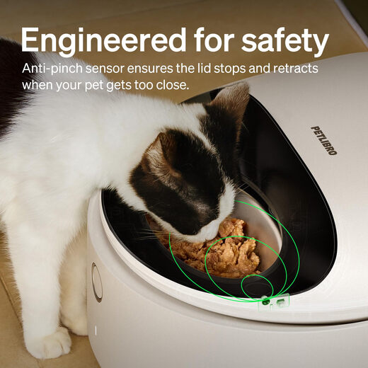 PETLIBRO automatic cat feeder wet food stainless steel