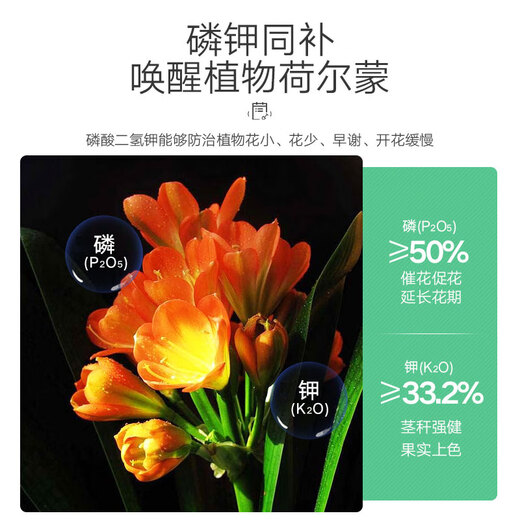 YWZR Potassium Dihydrogen Phosphate Flower Fertilizer Household Potassium Flower Planting Compound Fertilizer Green Plants Flower Potted Plants Universal Type Potassium Dihydrogen Phosphate 500g250g2